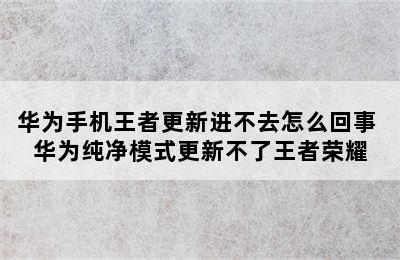 华为手机王者更新进不去怎么回事 华为纯净模式更新不了王者荣耀